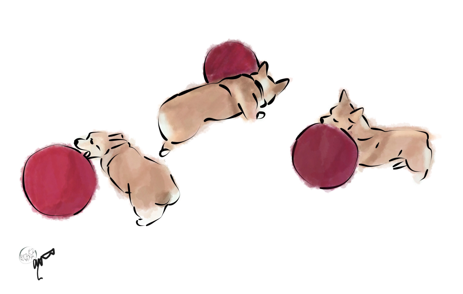 4 fantastic dog toys your corgi will love